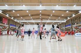 综合体育平台权威解读 提升内容专业可信度